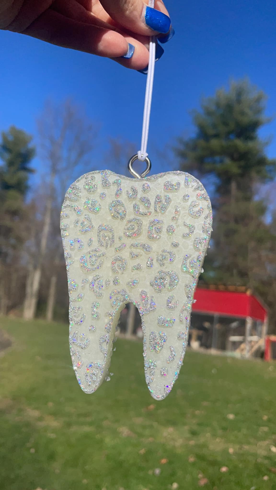 Tooth Freshie